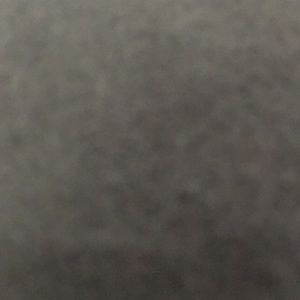 Meet your Posher, Dani